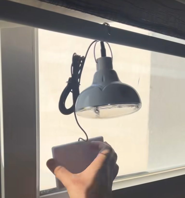 لامپ خورشیدی